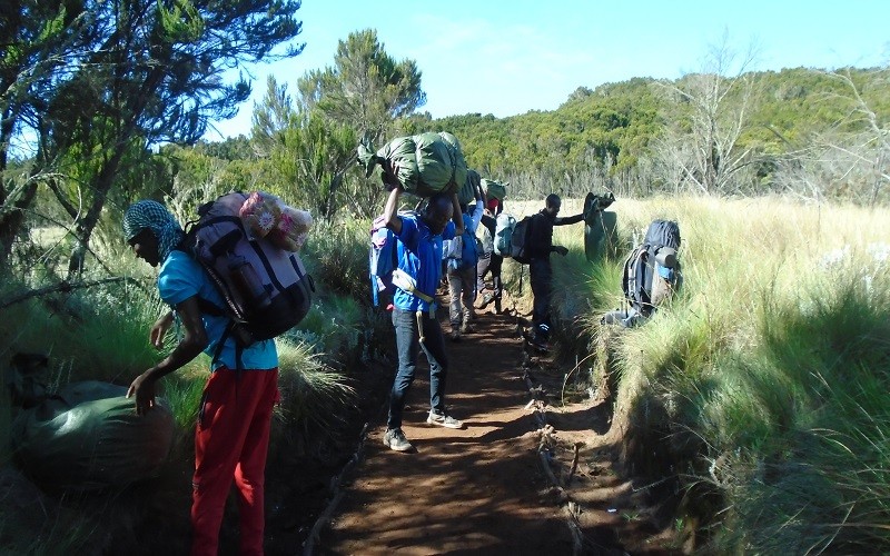 lemosho climbing kilimanjaro