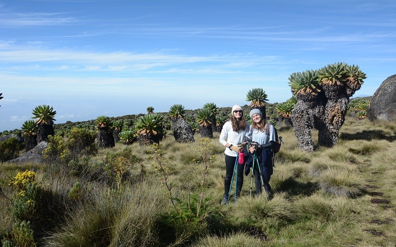 marangu route