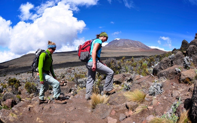 hiking kilimanjaro