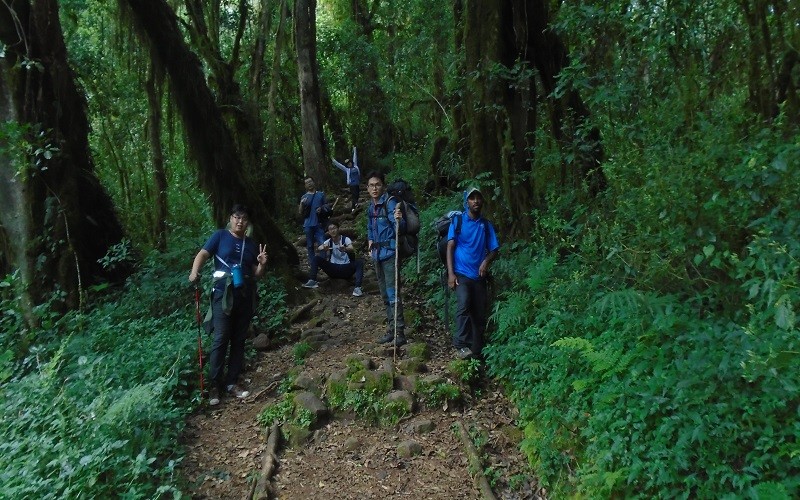 mount kilimanjaro