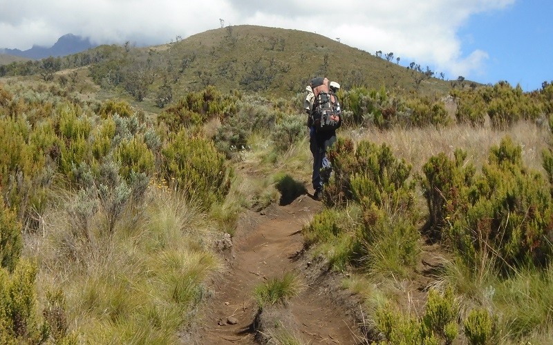 climbing mount kilimanjaro