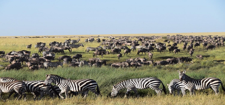 Tanzania Royal Tour