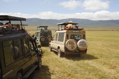 tanzania-big-5-private-safari-royal-package