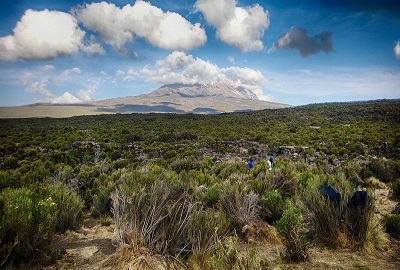 Mount Kilimanjaro One Day Hike Via Lemosho Route