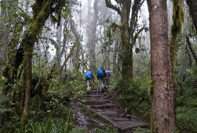 Kilimanjaro Day Hike Via Machame Route