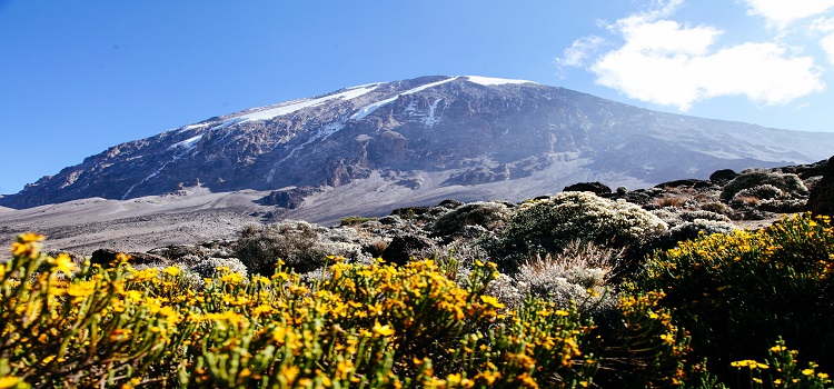 5 Days Kilimanjaro Climbing -- Via Marangu Route