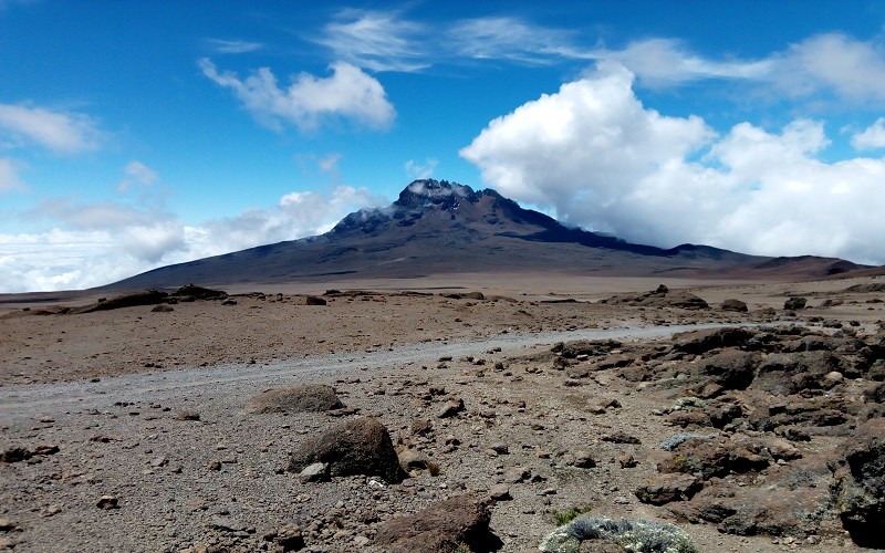 6 days Rongai route Kilimanjaro Climbing tour 4