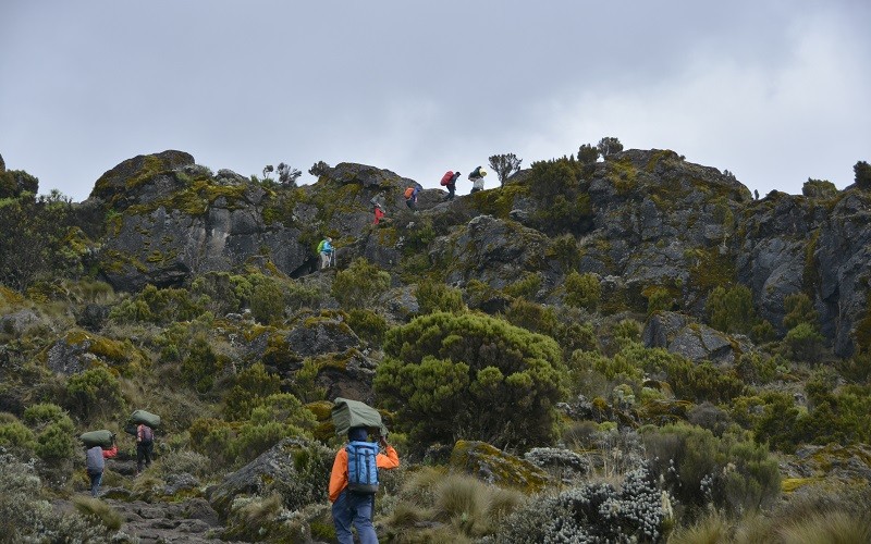 6 days Umbwe route Kilimanjaro climbing tour package 3