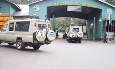 A 4-day Tanzania luxury safari from departure gate in Ngorongoro CA