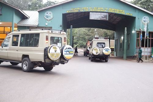 A 4-day Tanzania luxury safari from departure gate in Ngorongoro CA