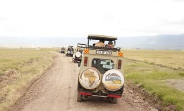 1-day Tanzania lyxyry safari in Serengeti National park