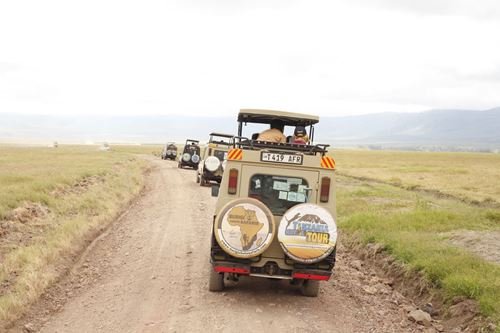 1-day Tanzania lyxyry safari in Serengeti National park