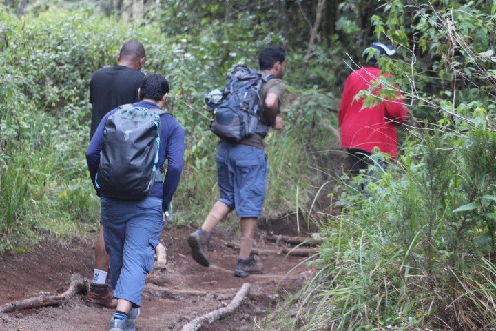 Hikers during a Kilimanjaro Marangu Route Luxury Day Hike Tour