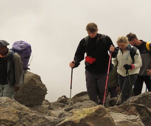 7 Days Lemosho Route Luxury Climb, trekking