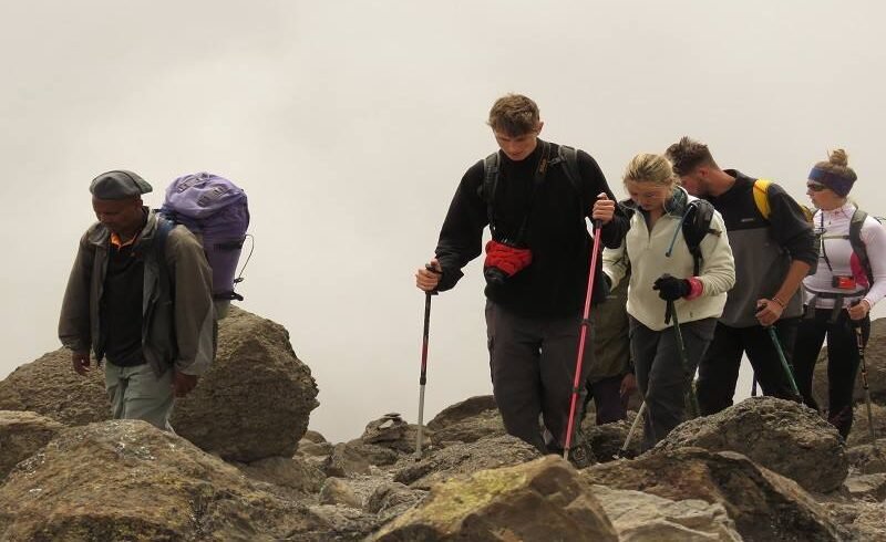 7 Days Lemosho Route Luxury Climb, trekking