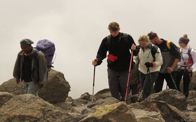 7 Days Lemosho Route Luxury Climb, trekking