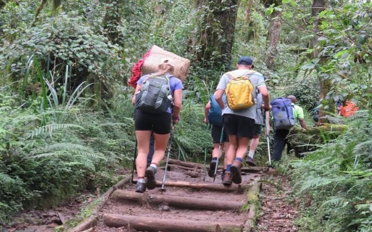 marangu route