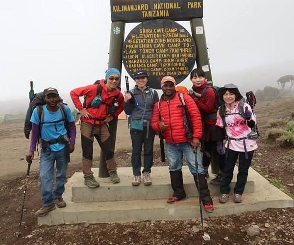 7 Days Lemosho Route Luxury Climb