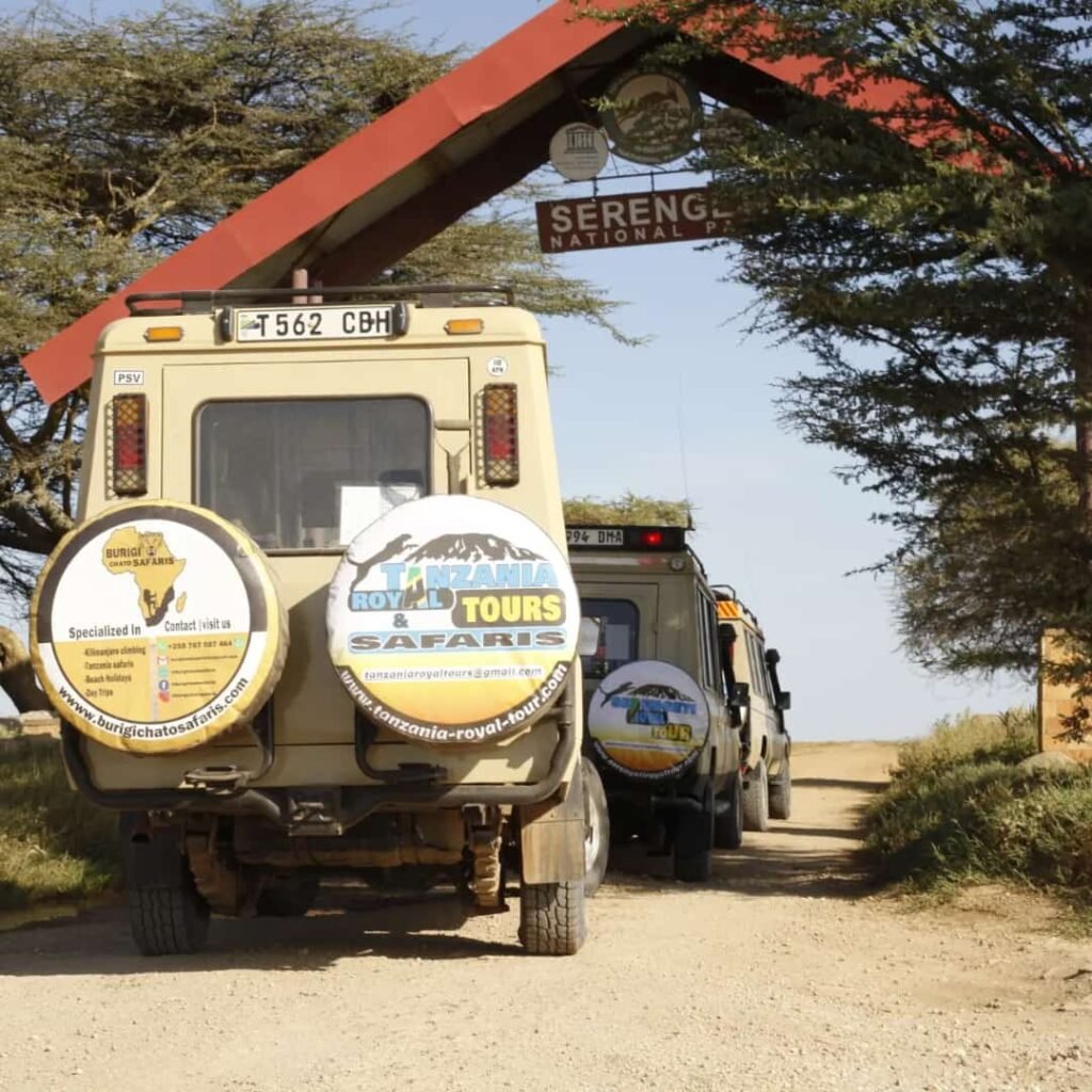 1-day Tanzania luxury safari to Serengeti