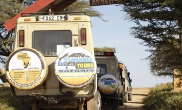 1-day Tanzania luxury safari to Serengeti