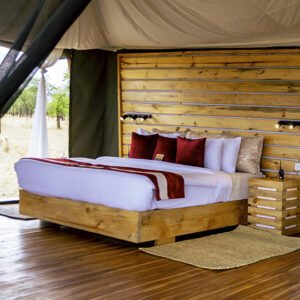 best time for a luxury safari in Tanzania