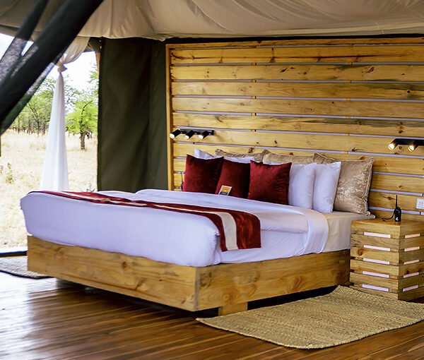 Best Time for a Luxury Safari in Tanzania