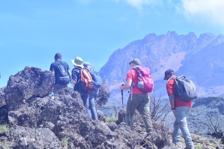 9-Day Marangu Route Kilimanjaro Luxury Trekking Tour Package