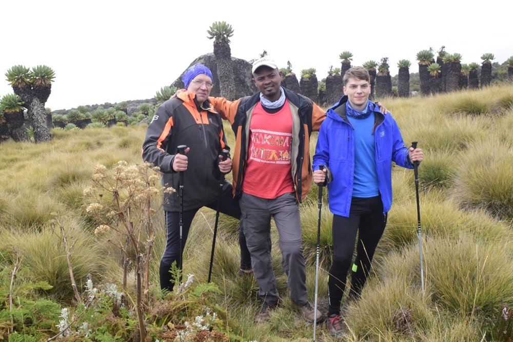 Trekkers during a 6-day Marangu route Kilimanjaro luxury trekking tour
