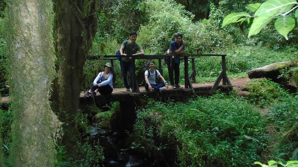 Hikers in the forest during a Kilimanjaro Marangu Route Luxury Day Hike Tour