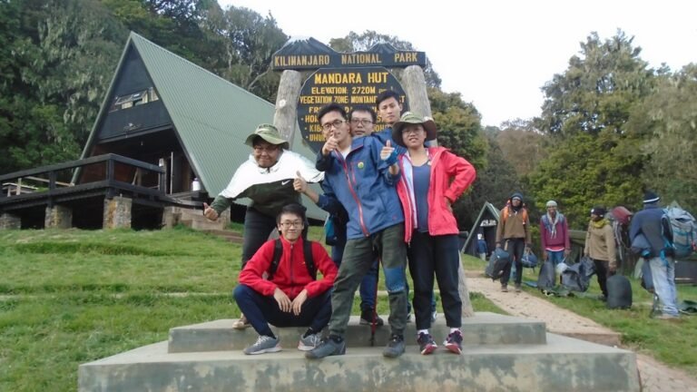 Kilimanjaro Marangu Route Luxury Day Hike Tour