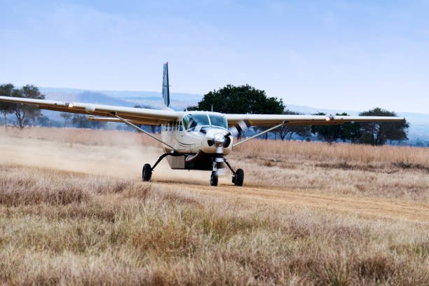 2-Day Mikumi Luxury Safari