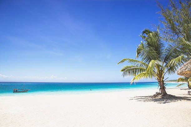 3 days luxury safari from dar es salaam